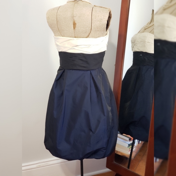 BCBG teacup skirt dress - Picture 3 of 6